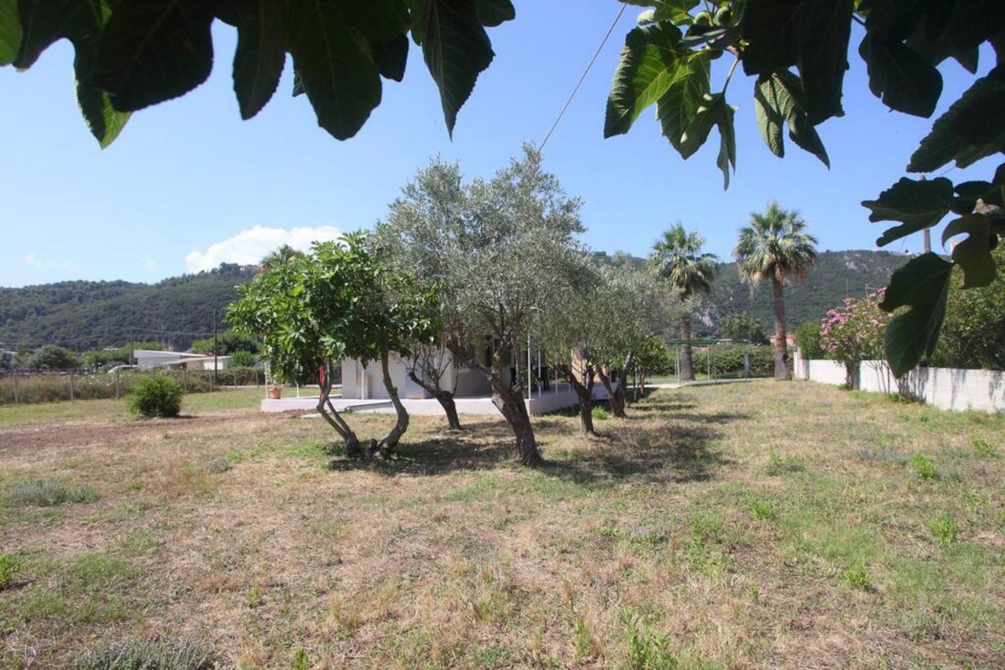 Olga Home Agios Ioannis Lefkada - Lefkada Bnb Экстерьер фото
